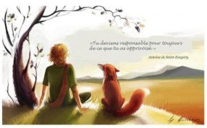 SOLDES D'HIVER @ digizen-shiatsu | Sausheim | Grand Est | France