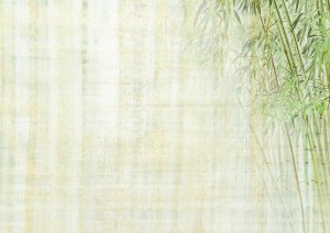 SOLDES D'HIVER @ digizen-shiatsu | Sausheim | Grand Est | France