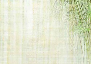 Reprise du Qi gong HOCHSTATT @ HOCHSTATT