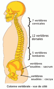 SALON DU BIEN-ÊTRE VITALSACE 2024 @ Salle du trèfle à RIXHEIM